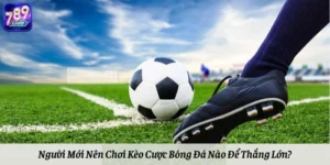 Người Mới Nên Chơi Kèo Cược Bóng Đá Nào Để Thắng Lớn?