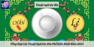 Tổng Hợp Các Thuật Ngữ Xóc Đĩa Phổ Biến Nhất Năm 2024